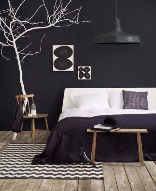 chambre a coucher murs noirs