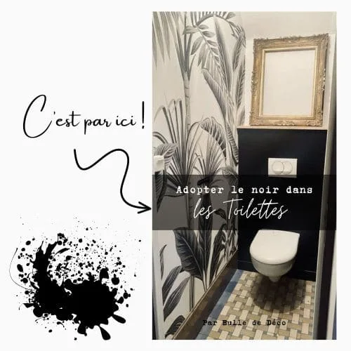 decoration wc peinture noire