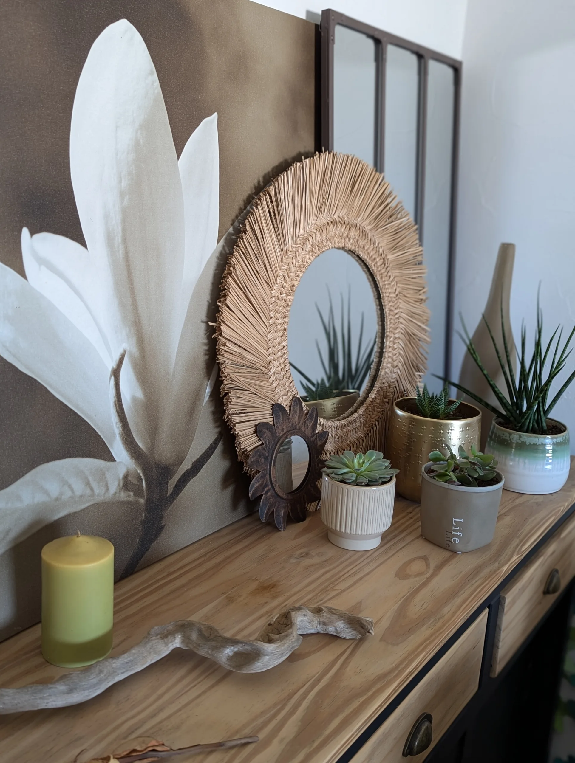 plantes-vertes-interieur-green-vibes